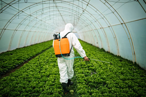 Reliable Lyons, CO Pest Control Solutions