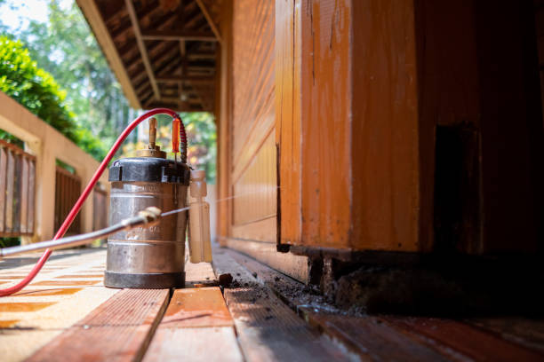 Best Affordable Pest Control Services  in Lyons, CO