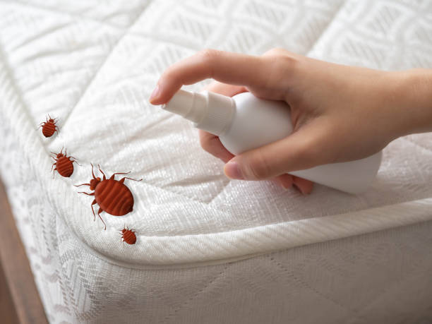 Best Pest Prevention Services  in Lyons, CO