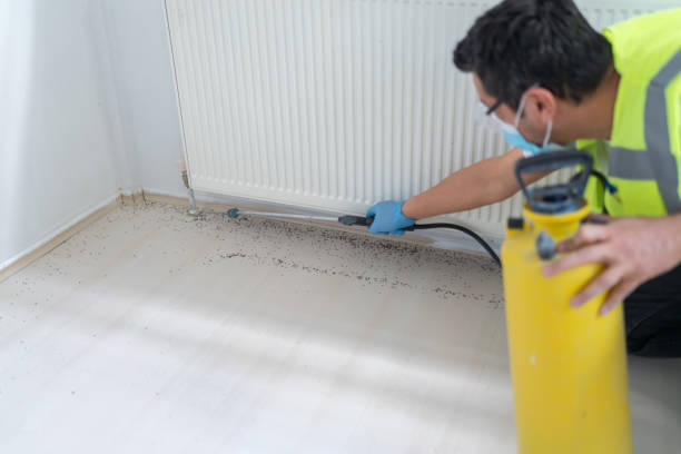 Best Wasp Removal Services  in Lyons, CO