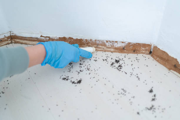 Best Best Pest Control Companies  in Lyons, CO